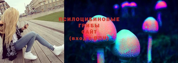 не бодяженный Рославль