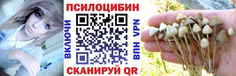 Галлюциногенные грибы GOLDEN TEACHER закладка Агрыз